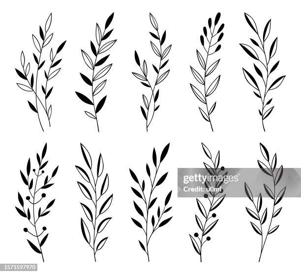 hand drawn plants - spring flowers outline stock illustrations