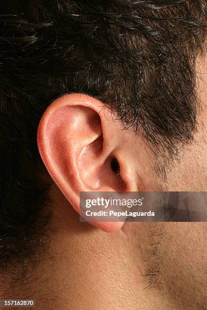 oreja - oreja fotografías e imágenes de stock