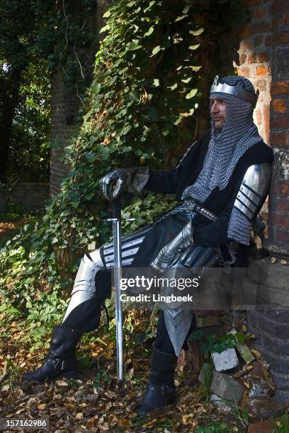 653 Knights Of The Round Table Stock Photos, High-Res Pictures, and ...