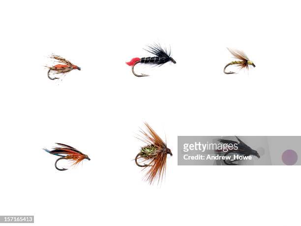 fishing flies - fishing hook stockfoto's en -beelden