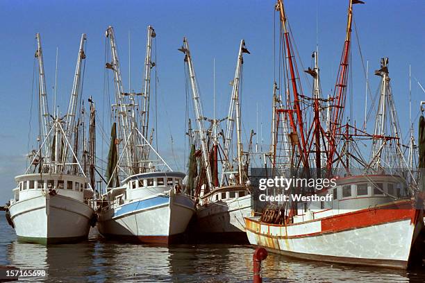 key west shrimp boats - shrimp boat stockfoto's en -beelden