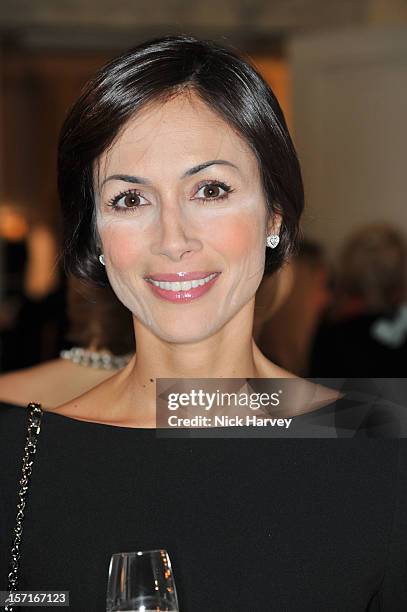 Maria Rosaria Carfagna attends a catwalk show and auction hosted by Browns, Harpers Bazaar and H.E. Alain Giorgio Maria Economides in aid of Women...