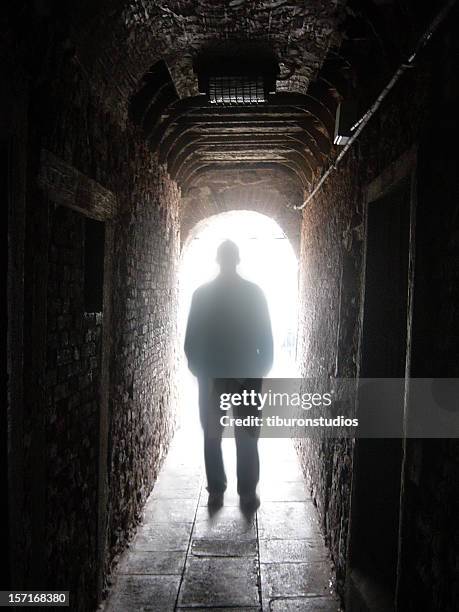 silhouette of man in dark tunnel with light at end - walking dog bildbanksfoton och bilder