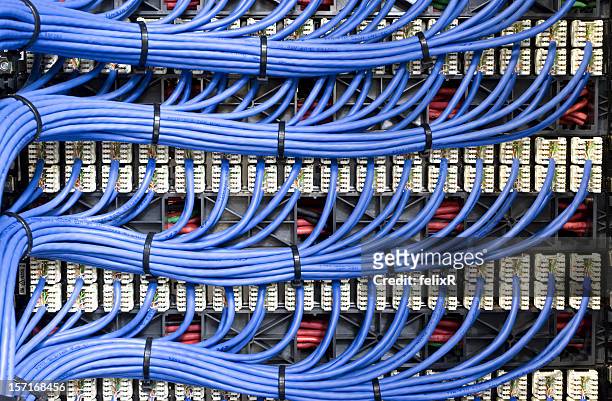 blue netzwerk-kabel - glasfaserkabel stock-fotos und bilder