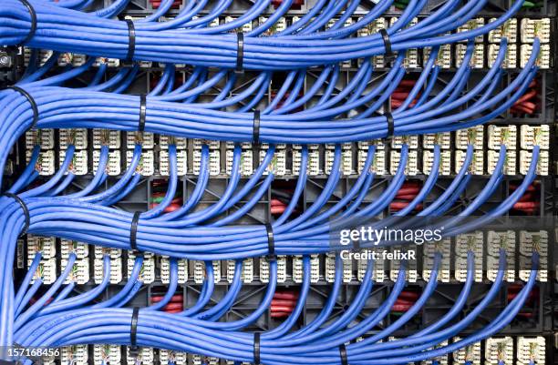 blue network cables - kabel bildbanksfoton och bilder