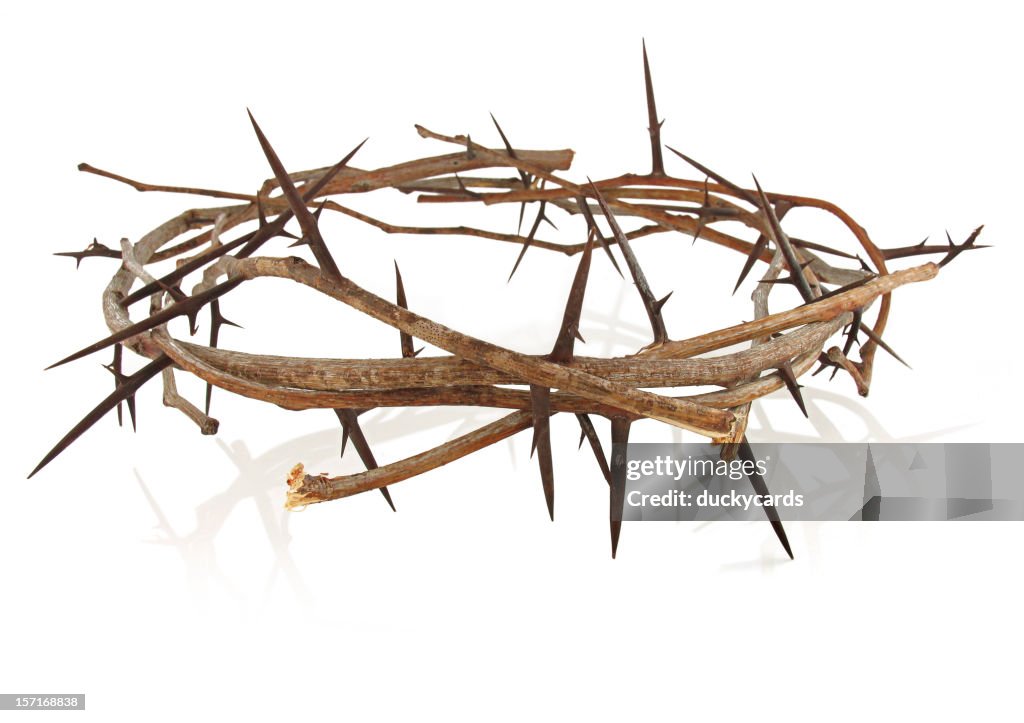 Crown of Thorns