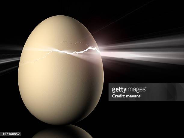 new leben - cracked egg stock-fotos und bilder