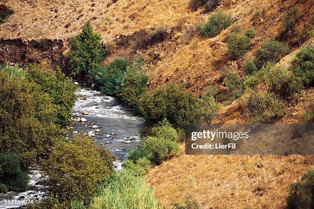 the jordan river - jordan bildbanksfoton och bilder