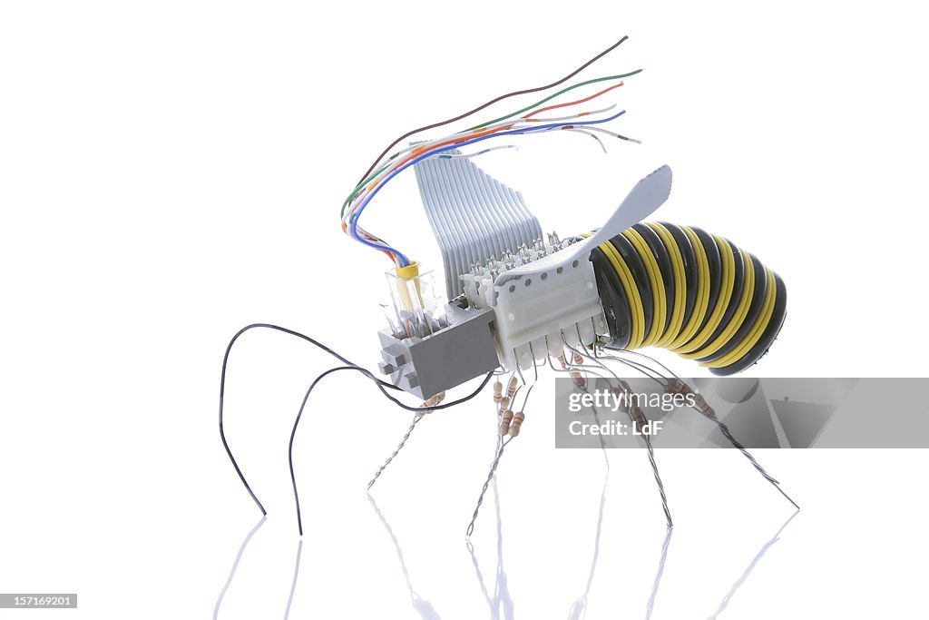 Electronic Wasp