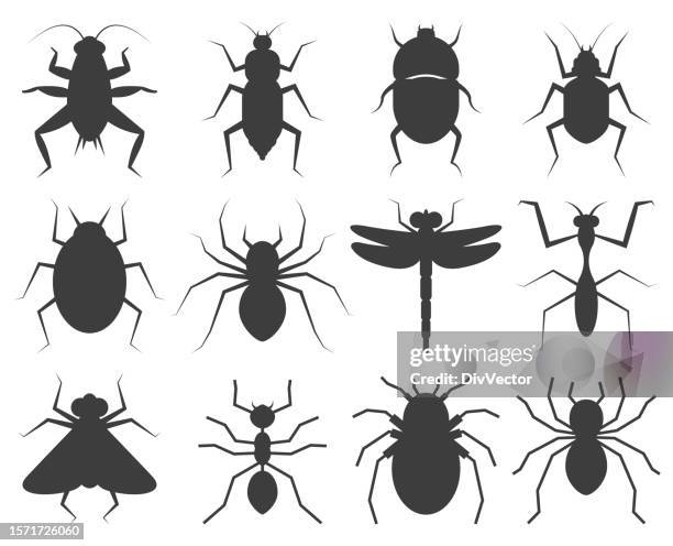 insects icon set - cricket insect stock illustrations