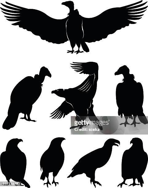 ilustraciones, imágenes clip art, dibujos animados e iconos de stock de eagle siluetas - ave de rapiña