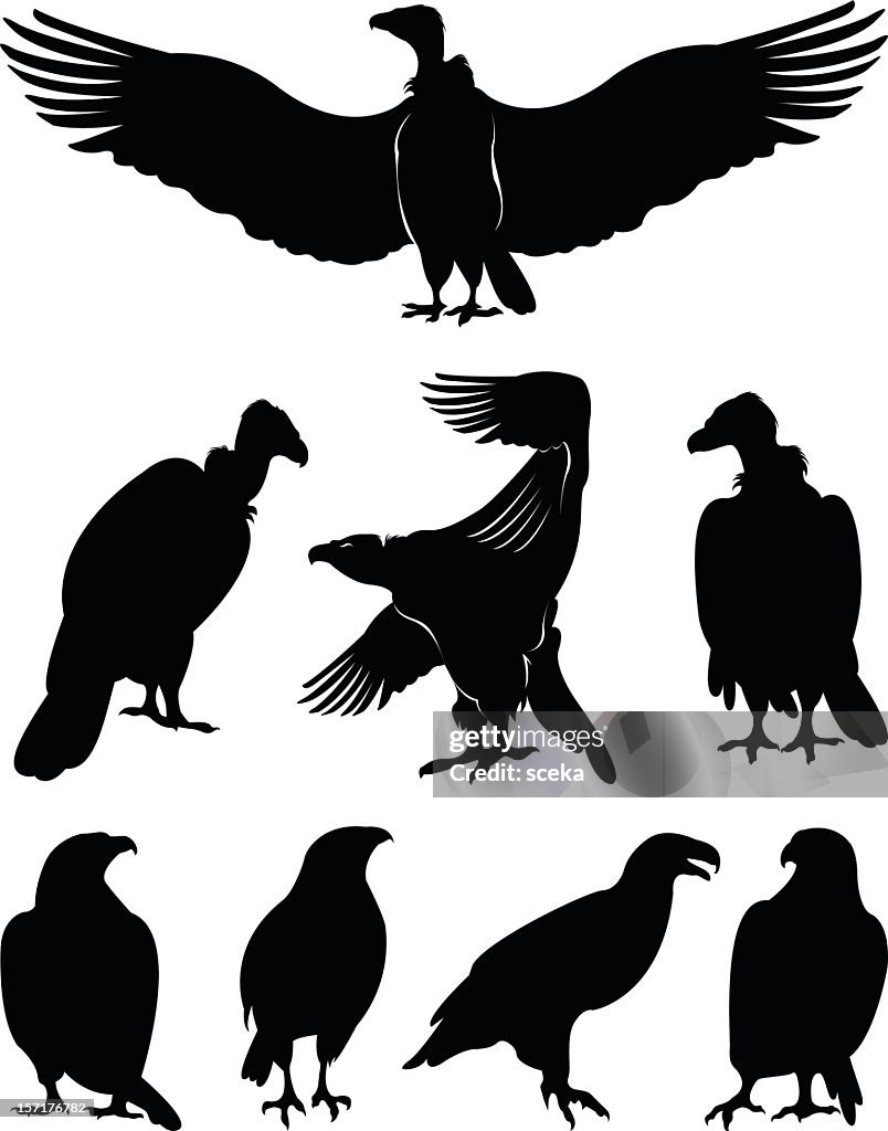 Eagle silhouettes