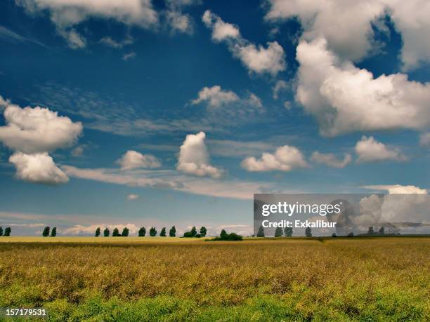 fehmarn - fehmarn fotografías e imágenes de stock