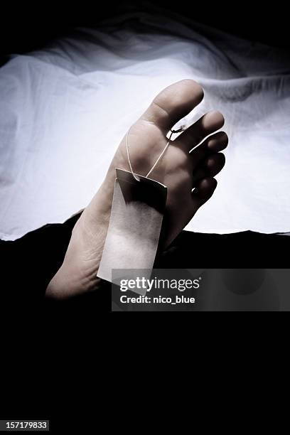 death - dead body morgue stock pictures, royalty-free photos & images