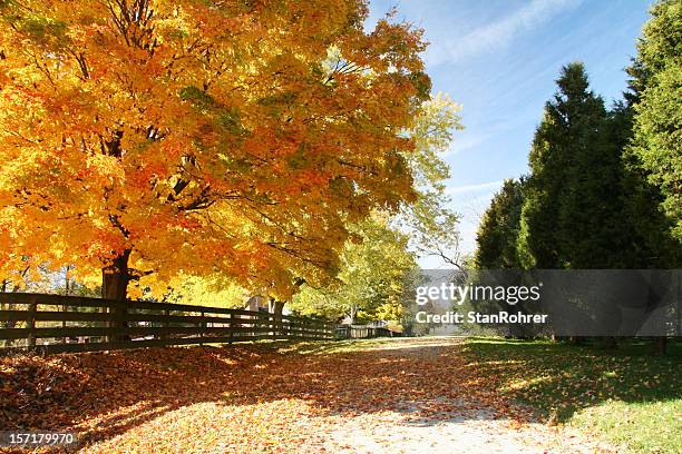 autunno strada ohio - dayton ohio foto e immagini stock