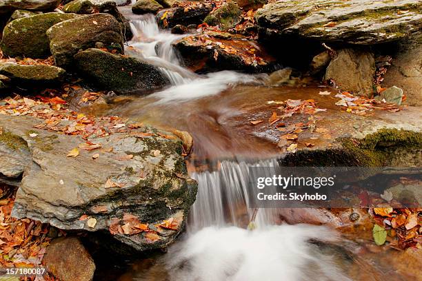 autumn cascade - appalachian rock layers stock pictures, royalty-free photos & images