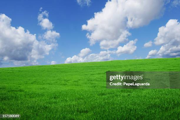 Knoll Spring 31,176 Grassy Knoll Stock Photos Stock Photos, High-Res Pictures, and ...