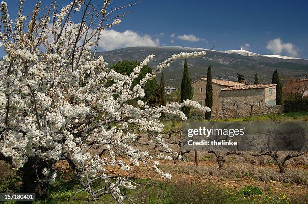 monte ventoso in primavera - monte ventoso foto e immagini stock