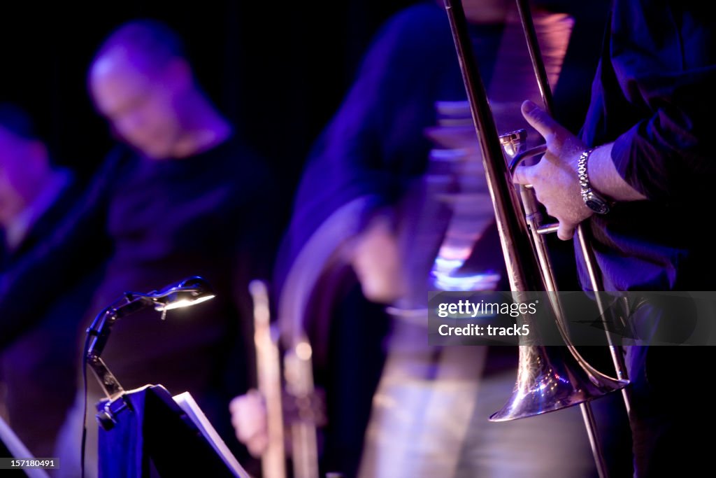 Músicos de Jazz, blues en vivo del rendimiento en la etapa