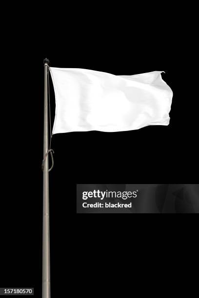 blank white flag - hissa vit flagg bildbanksfoton och bilder