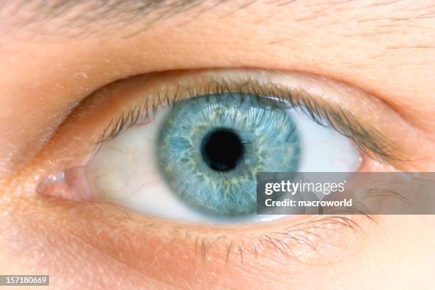 close-up of a blue eye with no makeup - blue eye stockfoto's en -beelden