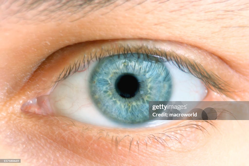 Close-up of a blue eye with no makeup