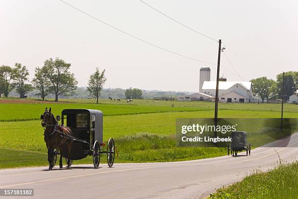 amish en vagones de mercado - lancaster county pennsylvania fotografías e imágenes de stock