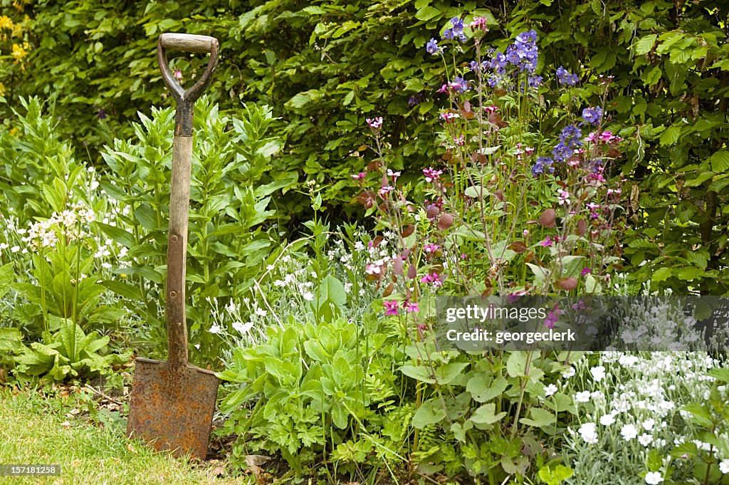 Gardening Time