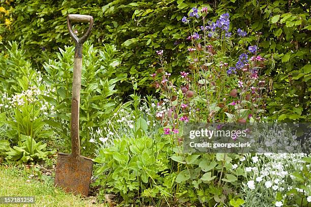 gardening time - ornamental garden stock pictures, royalty-free photos & images