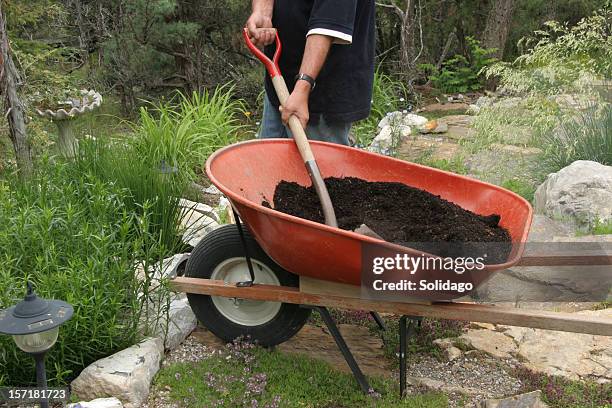 suelo, black gold para el jardín - loam fotografías e imágenes de stock