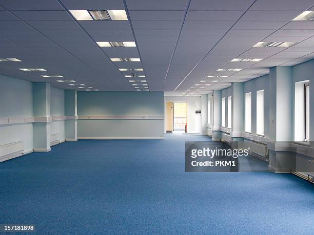 office - suspended ceiling stock pictures, royalty-free photos & images