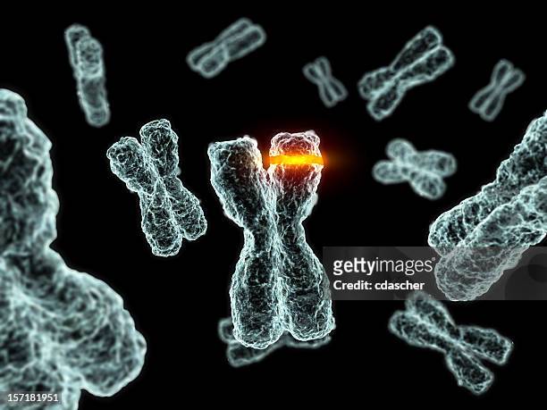 mutazione - cromosoma foto e immagini stock