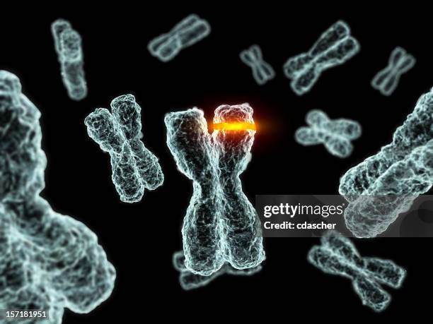 mutation - chromosome stock pictures, royalty-free photos & images