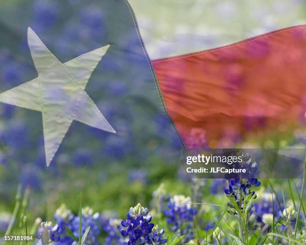 texas flag overlaid on bluebonnets - blue bonnet flower stock pictures, royalty-free photos & images