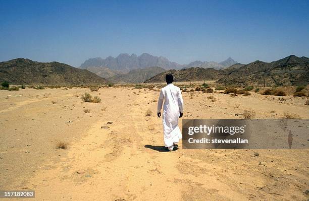 arab desierto - beduino fotografías e imágenes de stock