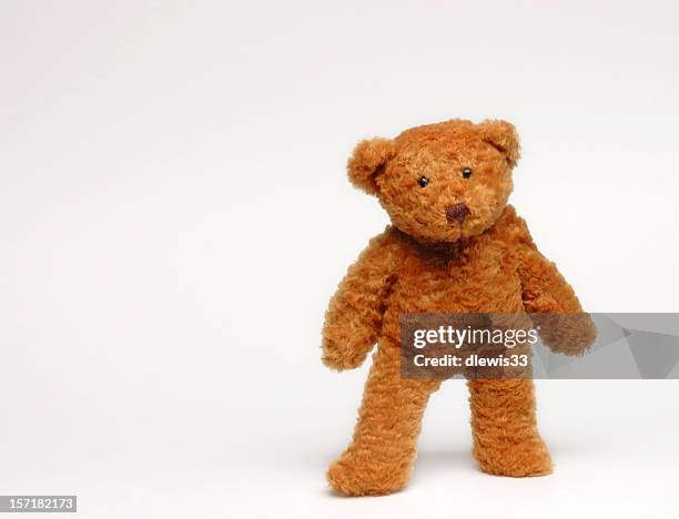 brown teddy bear standing in white background - teddy bear 個照片及圖片檔