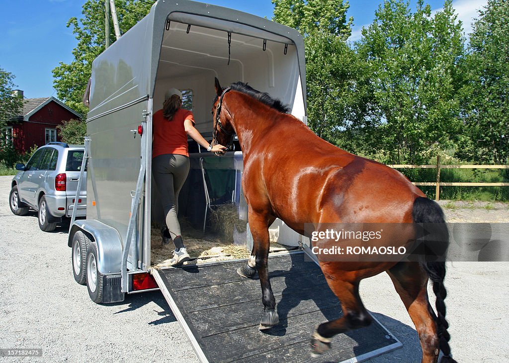 Horse Transport, Norwegen