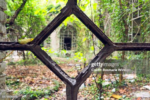 overgrown garden of abandoned house, iron grid - urban exploration stock pictures, royalty-free photos & images
