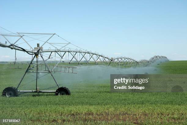 irrigation system watering the crops - field stubble stock pictures, royalty-free photos & images