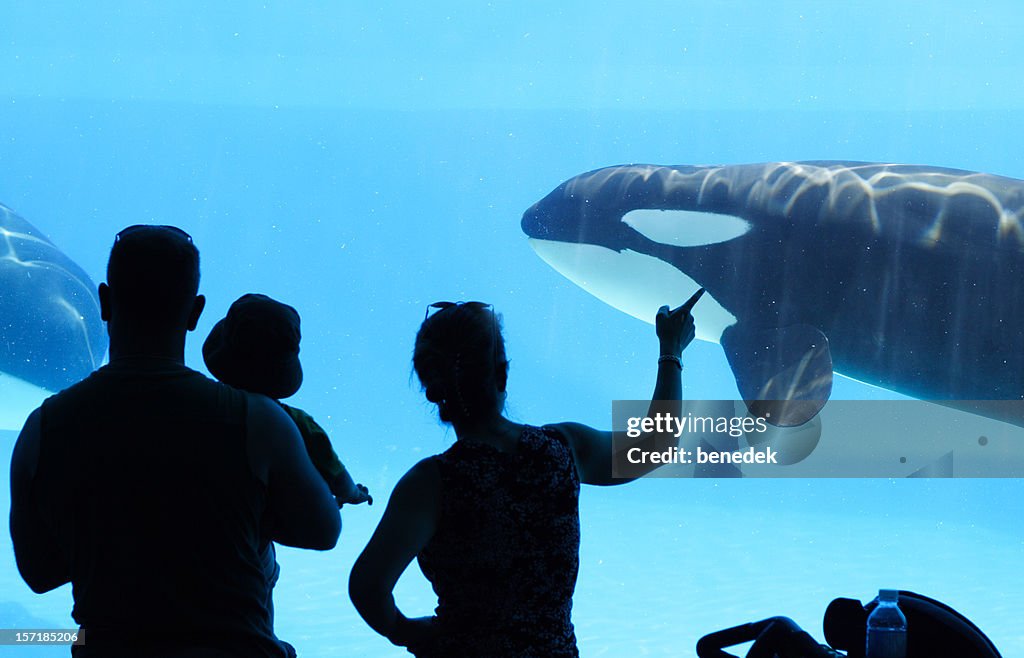 水族館