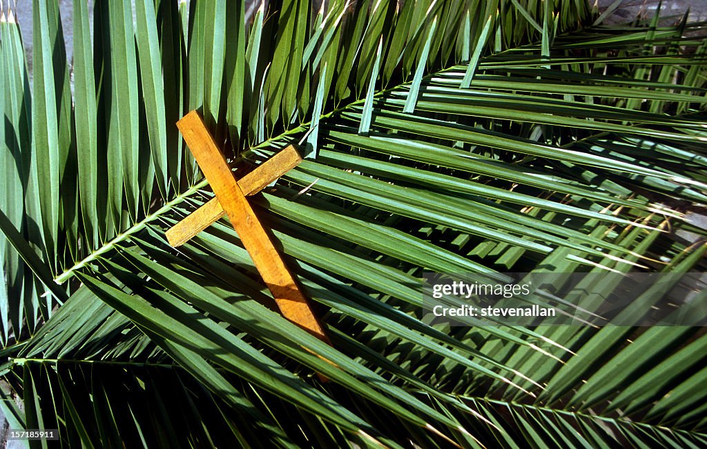 Cruz de madera en Palm leafs Palm Domingo
