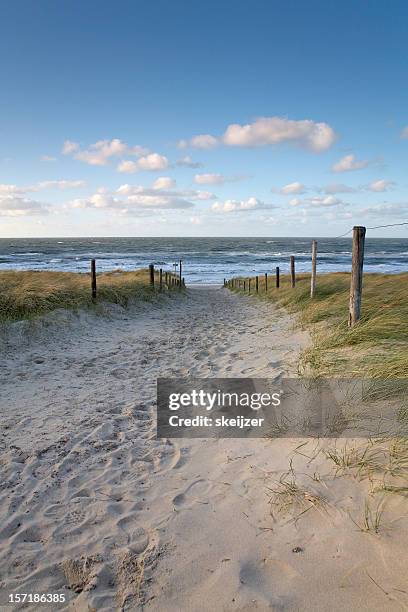 path to the beach - texel bildbanksfoton och bilder