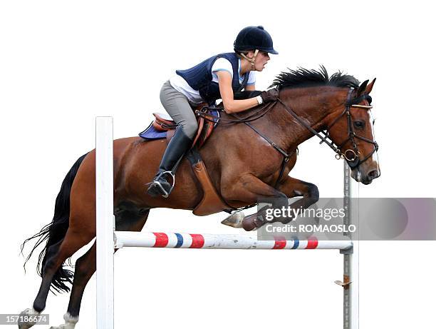 jump!  young rider show jumping isolated on white, norway - girl jumping stockfoto's en -beelden