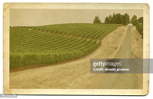 vintage hand-tinted photo or postcard of vineyard - willamette valley stock pictures, royalty-free photos & images