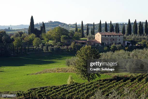 chianti, tuscany italy north east of siena - chianti region stock pictures, royalty-free photos & images