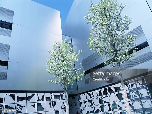 Spring Window Office View 565 Office Window Spring Stock Photos, High-Res Pictures, and Images ...