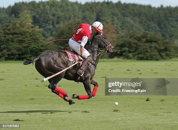 high goal trophy - horses playing stock pictures, royalty-free photos & images