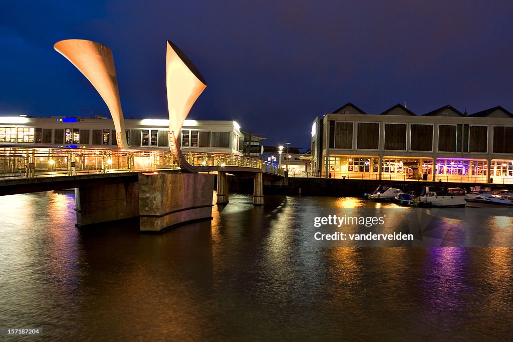 Millennium Bridge, Bristol