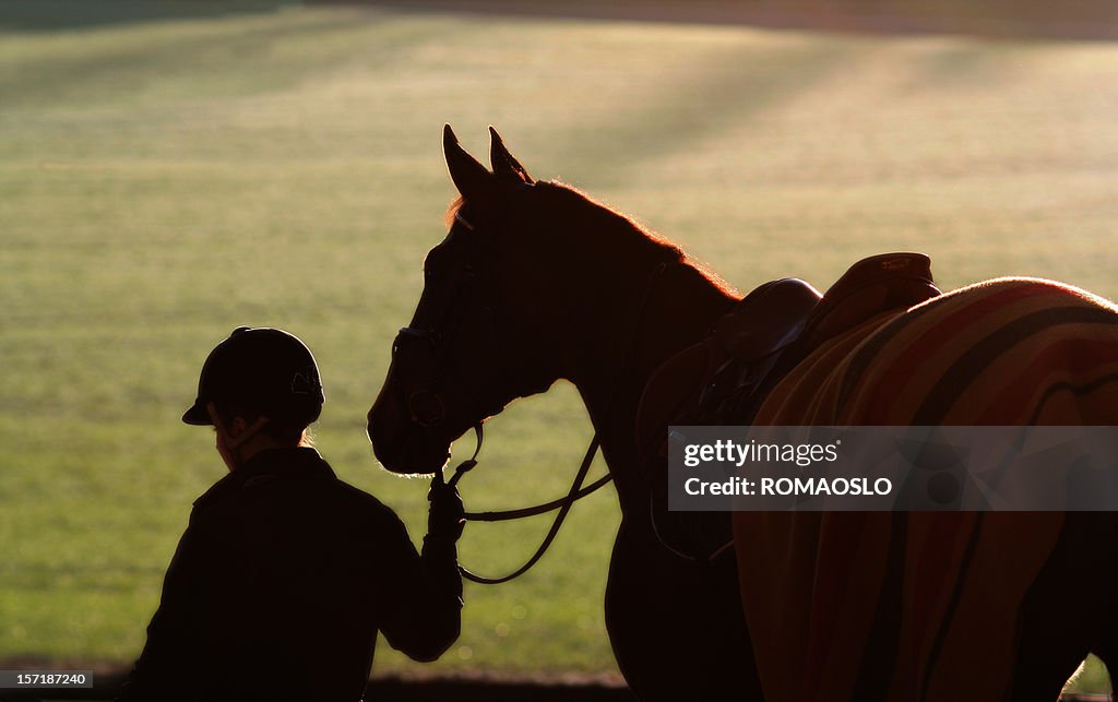 Silhueta de uma menina e seu cavalo para o Anoitecer