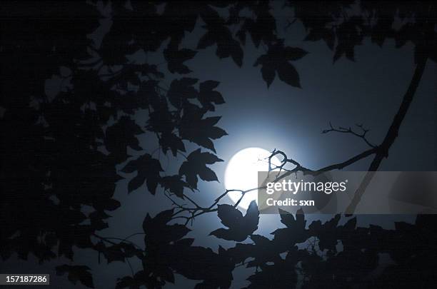 luna blu 2 - immagini in sequenza foto e immagini stock